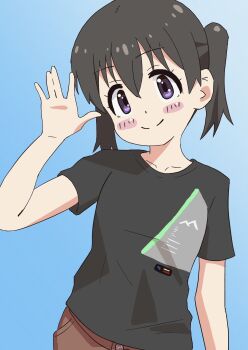 Post 13022262