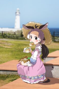 Post 8519507