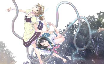 Post 14311575