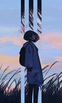 Post 11248707
