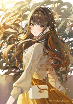 Post 12706196