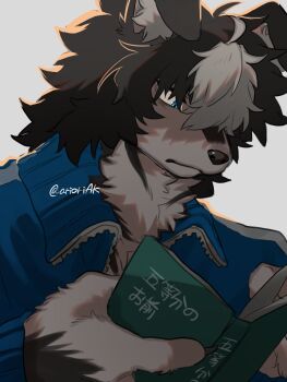 Post 12920016