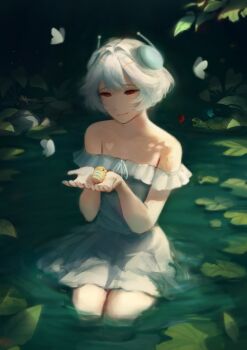 Post 13941906