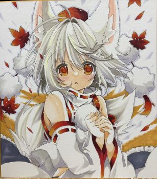 Post 15017088