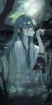 Post 13736220