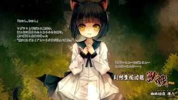 Post 8065018