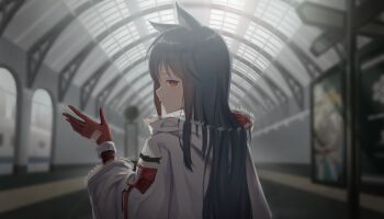 Post 14988282