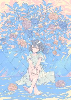Post 8834269