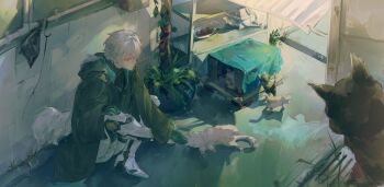 Post 11910818