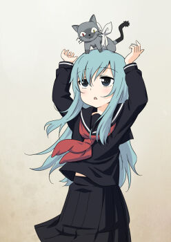 Post 10061817