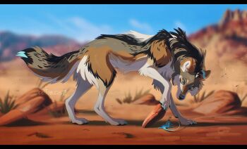 Post 13384953