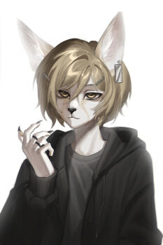 Post 13719305