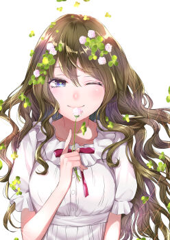Post 11494236