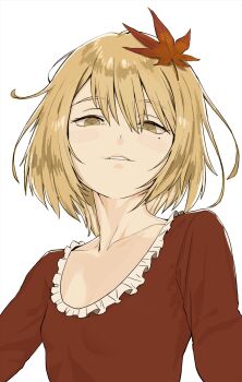 Post 11802639