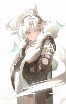 Post 14655021
