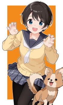 Post 12647692