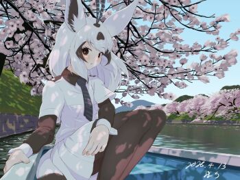 Post 13862317