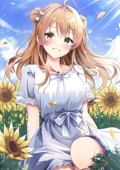 Post 14084902