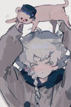 Post 7052881
