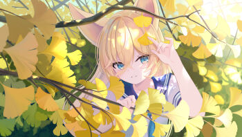 Post 15024751
