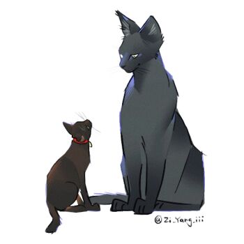 Post 14725514