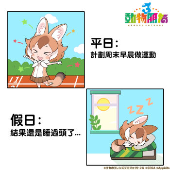 Post 10356506