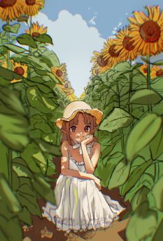 Post 12560892