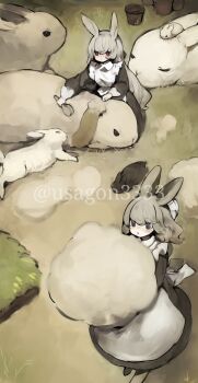 Post 11070719
