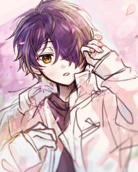 Post 8311772