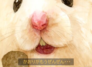 Post 13358769