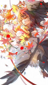 Post 10130251