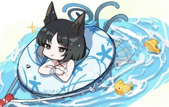 Post 12249746