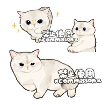 Post 13130207