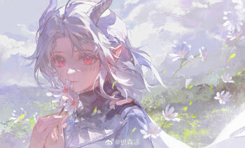 Post 14617434