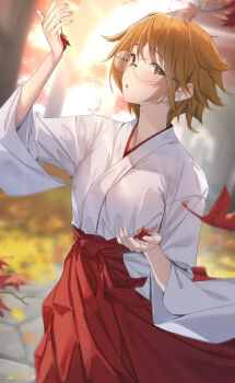 Post 10082516