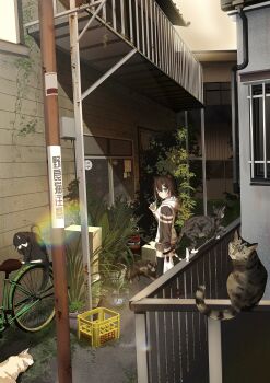 Post 14226893