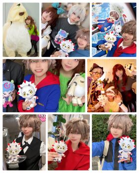 Post 10969544