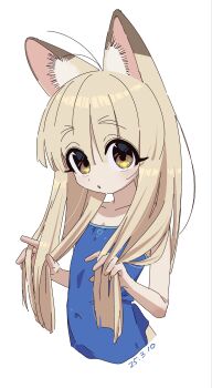 Post 13640559
