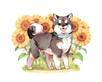 Post 13312207