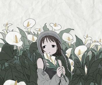 Post 14024377