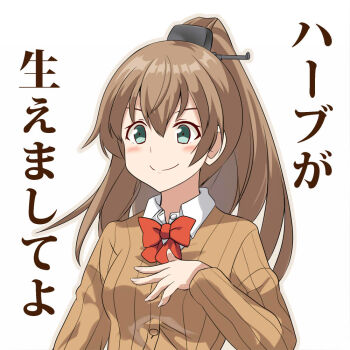Post 9249042
