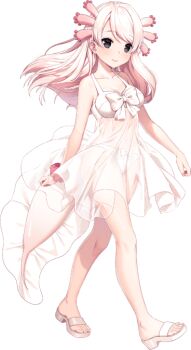 Post 8590563