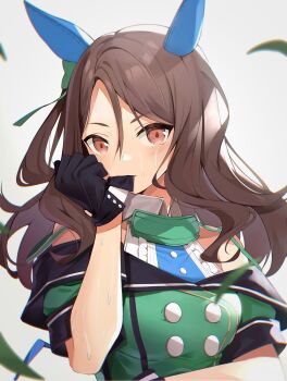 Post 14790506