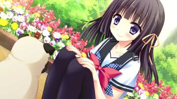 Post 14492005