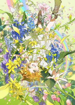 Post 14037229