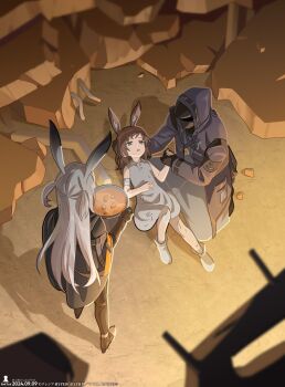 Post 13711008