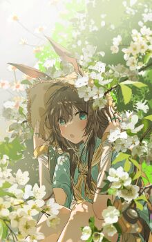 Post 12908793