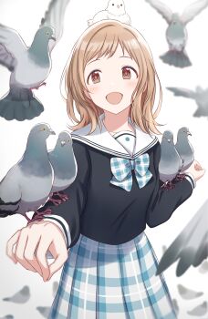 Post 8110218