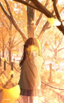 Post 13039598