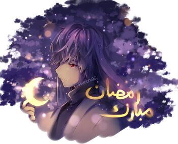 Post 13557513